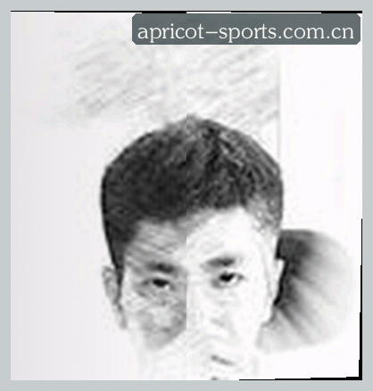 陈总